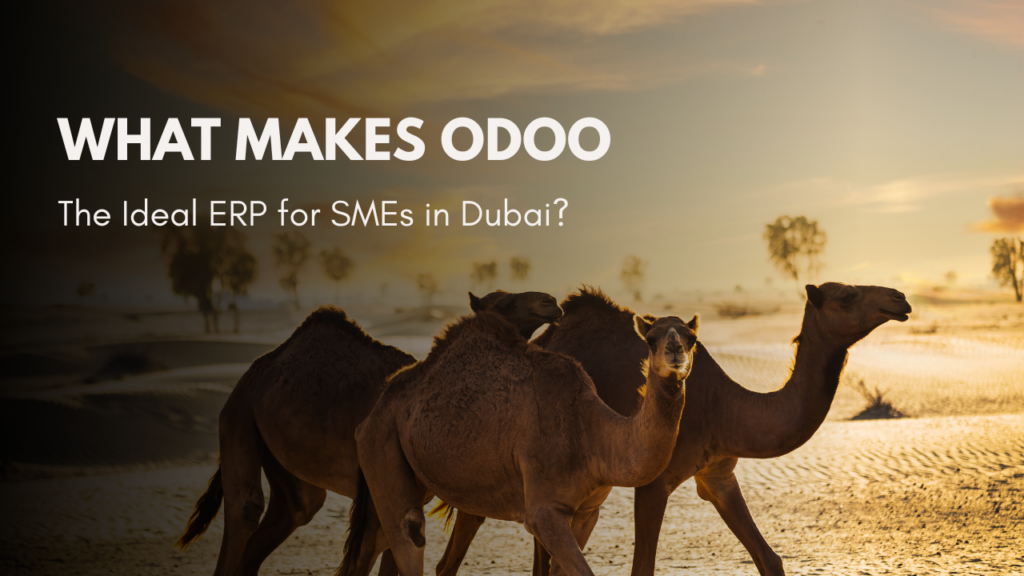 What Makes Odoo the Ideal ERP for SMEs in Dubai?