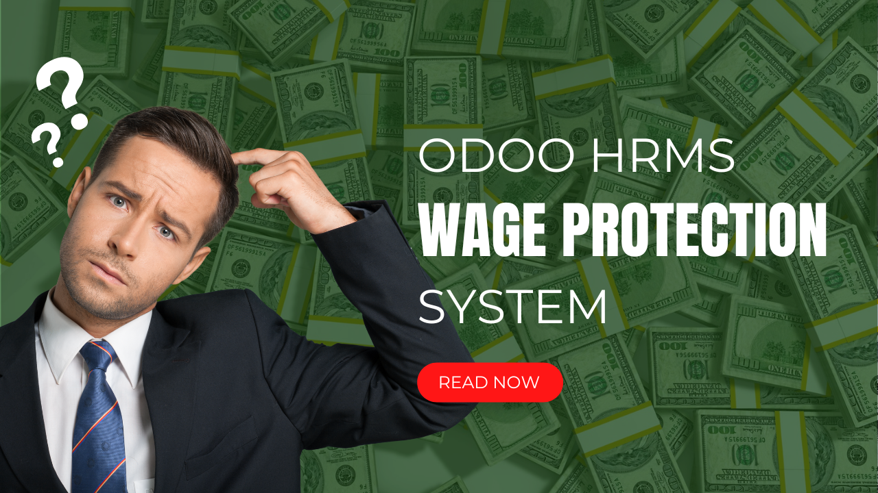 Odoo HRMS Wage Protection System Requirements